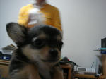 DSC02140.JPG