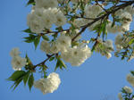 DSC02279.JPG