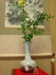 DSC02314.JPG