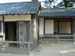 DSC02329.JPG