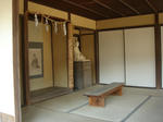 DSC02330.JPG