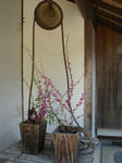 DSC02351.JPG