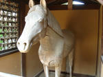 DSC02367.JPG
