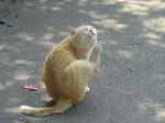 DSC02424.JPG