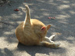 DSC02423.JPG