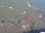 DSC02430.JPG