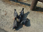DSC02431.JPG