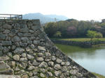 DSC02433.JPG