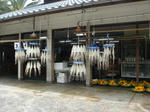 DSC02445.JPG
