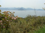 DSC02446.JPG