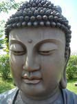 DSC02707.JPG