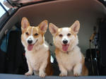 DSC02703.JPG