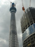 DSC02749.JPG