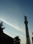 DSC02763.JPG