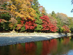 DSC02794.JPG