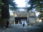 DSC02798.JPG