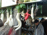 DSC02924.JPG
