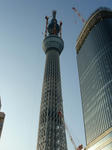 DSC02953.JPG