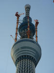 DSC02954.JPG