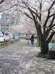 d23206f4.JPG