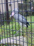 090404_1313~02.jpg