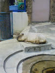 090404_1121~020001.jpg