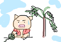 fimg_1250437712.png