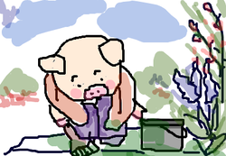 fimg_1250565968.png