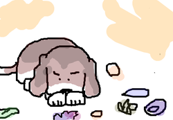 fimg_1251020702.png