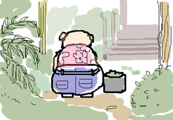 fimg_1251029679.png