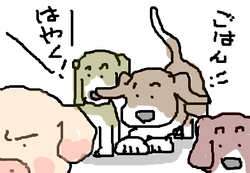 fimg_1251981345.png