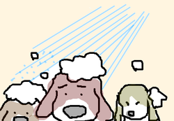 fimg_1252070681.png