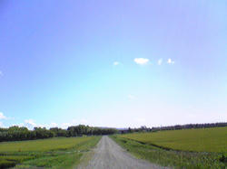 Image138.jpg