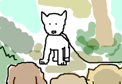 fimg_1253708608.png