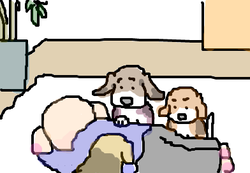 fimg_1254145743.png