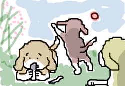 fimg_1254232759.png