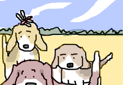 fimg_1254310270.png