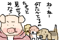 fimg_1254919370.png