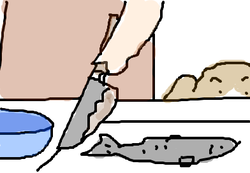 fimg_1255528762.png
