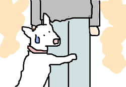 fimg_1255606902.png
