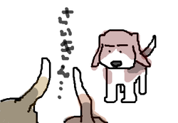 fimg_1256048473.png