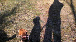 2009121810020000.jpg