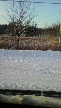 2009121907550000.jpg