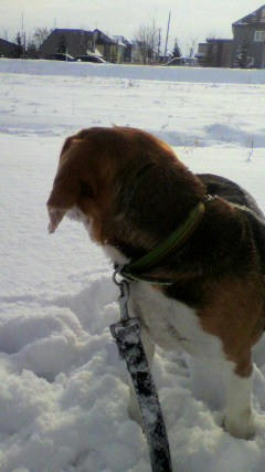 2009122309360000.jpg