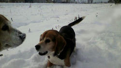 2009122309410000.jpg