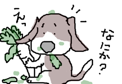 fimg_1261573769.png