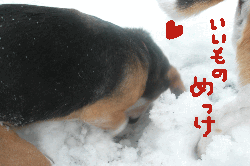 3.gif