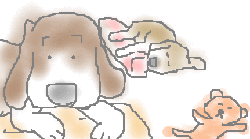 422.gif