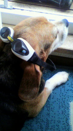 2010042510120000.jpg