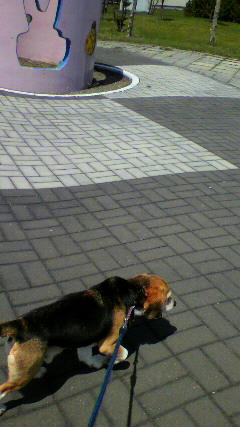 2010051610490000.jpg